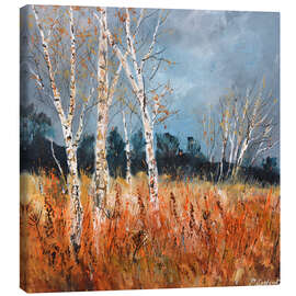 Leinwandbild Espen im Herbst - Pol Ledent