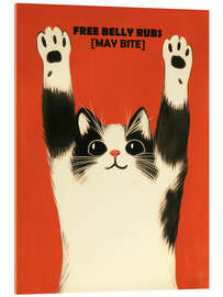 Acrylglasbild Free Belly Rubs - Frank Daske