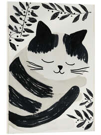 Acrylglasbild Träumendes Katzenkind - Frank Daske