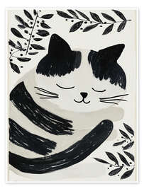 Wandbild Träumendes Katzenkind - Frank Daske