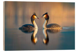 Holzbild Haubentaucher Paar - Christian Müringer