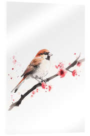 Acrylglasbild Aquarell Sperling mit Kirschblütenzweig - Christian Müringer