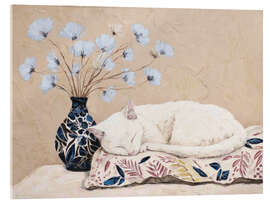 Acrylglasbild Ein sanfter Nachmittag mit einer weißen Katze - DejaReve