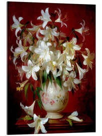 Acrylglasbild Wo Licht zu Blütenblättern wird - DejaReve