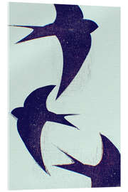 Acrylglasbild Schwalben - Sybille Sterk