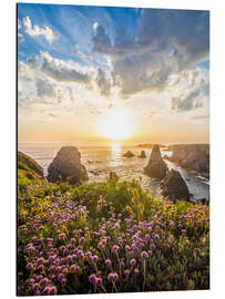 Aluminiumsbilde Coastal landscape on Belle-Ile-en-Mer, Brittany - Christian Müringer