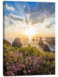 Leinwandbild Küstenlandschaft auf der Belle-Ile-en-Mer, Bretagne - Christian Müringer