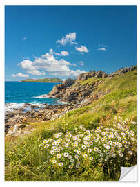 Wandsticker Felsküste am Pointe de Bihit, Trébeurden, Bretagne