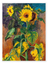 Poster Sonnenblumen