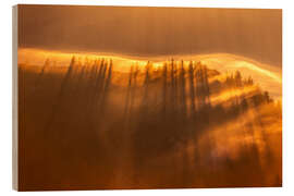 Holzbild Nebelstimmung in den Alpen Sonnenuntergang - Lucas Tiefenthaler