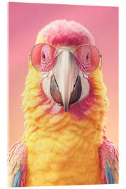 Acrylglasbild PINKISS Kollektion - Der Ara