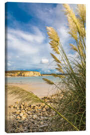 Leinwandbild Strand mit Gräsern bei Camaret sur Mer, Bretagne - Christian Müringer