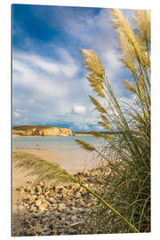 Quadro em plexi-alumínio Beach with grasses near Camaret-sur-Mer, Brittany - Christian Müringer