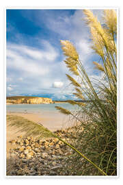 Wandbild Strand mit Gräsern bei Camaret sur Mer, Bretagne - Christian Müringer