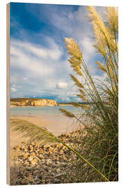 Holzbild Strand mit Gräsern bei Camaret sur Mer, Bretagne - Christian Müringer