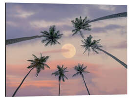 Aluminium print Serene Moonlit Palms - Assaf Frank