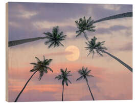 Holzbild Ruhige, mondbeschienene Palmen - Assaf Frank