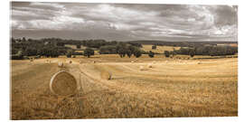 Acrylglasbild Heuhaufen auf dem Feld - Assaf Frank