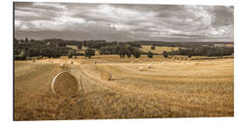 Alubild Heuhaufen auf dem Feld - Assaf Frank