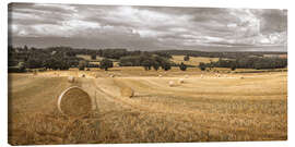 Leinwandbild Heuhaufen auf dem Feld - Assaf Frank