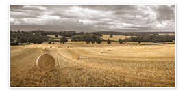 Wandbild Heuhaufen auf dem Feld - Assaf Frank