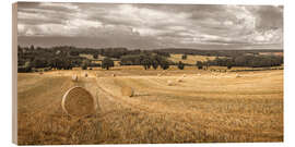 Holzbild Heuhaufen auf dem Feld - Assaf Frank
