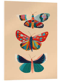 Acrylglasbild Schmetterlingstrio - Branka Kodžoman