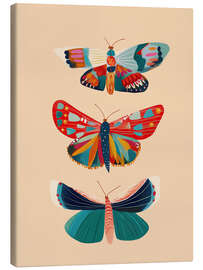 Leinwandbild Schmetterlingstrio - Branka Kodžoman