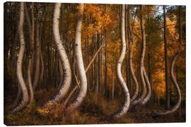 Leinwandbild Die gebogenen Espen im Herbst, Colorado - Martin Podt