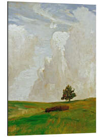 Alubild Wolkenberge, 1892