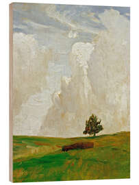 Holzbild Wolkenberge, 1892