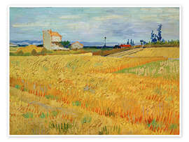 Wandbild Weizenfeld, 1888 - Vincent van Gogh