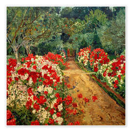 Wandbild Gartenweg mit Phloxbeet, 1910 - Philipp Franck