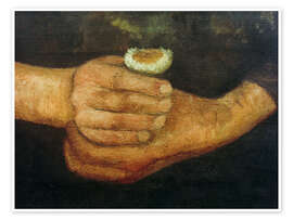 Poster Hände mit Kamillenblume, um 1902 - Paula Modersohn-Becker