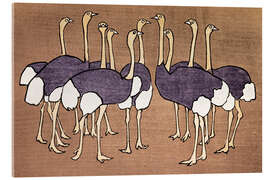 Acrylglasbild Straußenherde