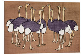 Print på aluminium The Ostrich Flock - Asai Chū