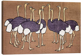 Leinwandbild Straußenherde - Asai Chū