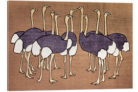 Tableau en plexi-alu The Ostrich Flock