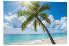 Acrylglasbild Sonniger Tropenstrand - Mango Art