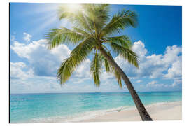 Alubild Sonniger Tropenstrand - Mango Art