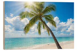 Holzbild Sonniger Tropenstrand - Mango Art