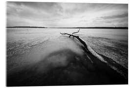 Acrylglasbild Winterlandschaft mit Schnee - Filtergrafia