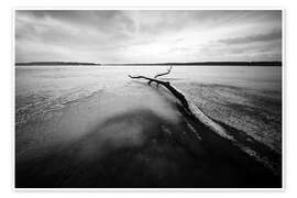 Poster Winterlandschaft mit Schnee - Filtergrafia