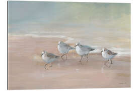 Quadro em plexi-alumínio Shorebirds on the Sand - Danhui Nai