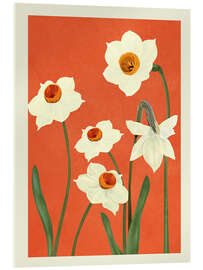 Acrylglasbild Wunderschöne Sommerblumen - Branka Kodžoman