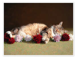 Poster Geborgen in einem Blumenbeet - DejaReve