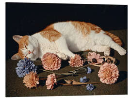 Acrylglasbild Blütenblattrest - DejaReve