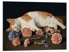 Alubild Blütenblattrest - DejaReve