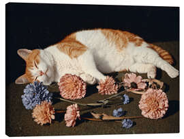 Leinwandbild Blütenblattrest - DejaReve