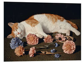 Hartschaumbild Blütenblattrest - DejaReve